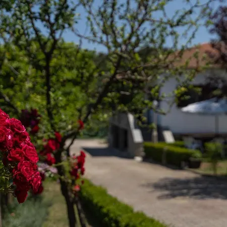 Apartment Sotiria House Sea View Lovely Garden Ierissos